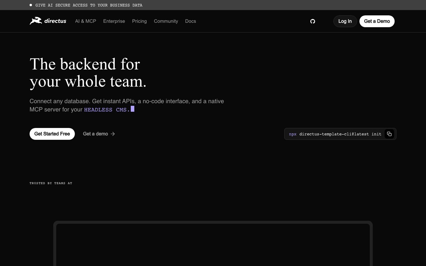 Directus screenshot 1